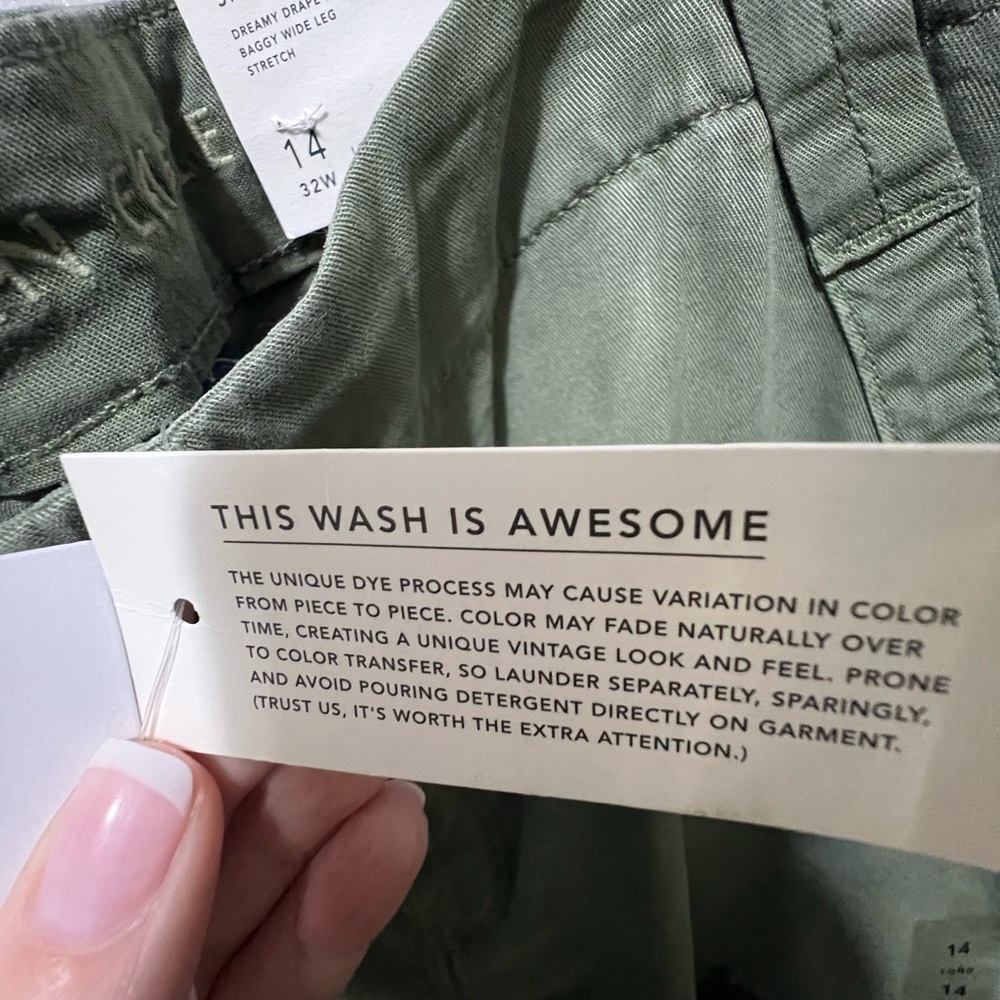 American Eagle Outfitters Sage Cargo Pants - Picture 6 of 8